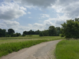 WILLA Z WIDOKIEM NA PANORAMĘ LASU